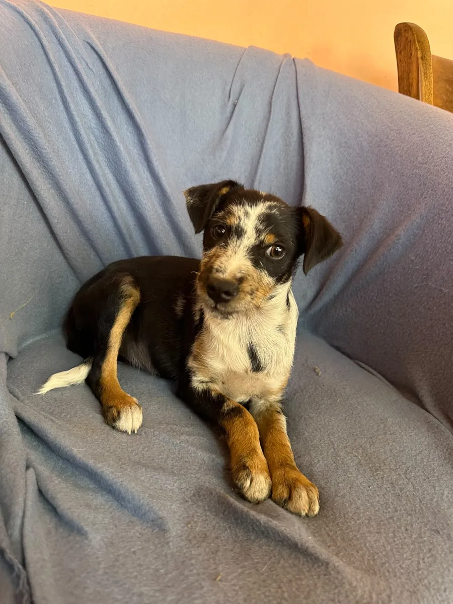 Ronja Foto 2