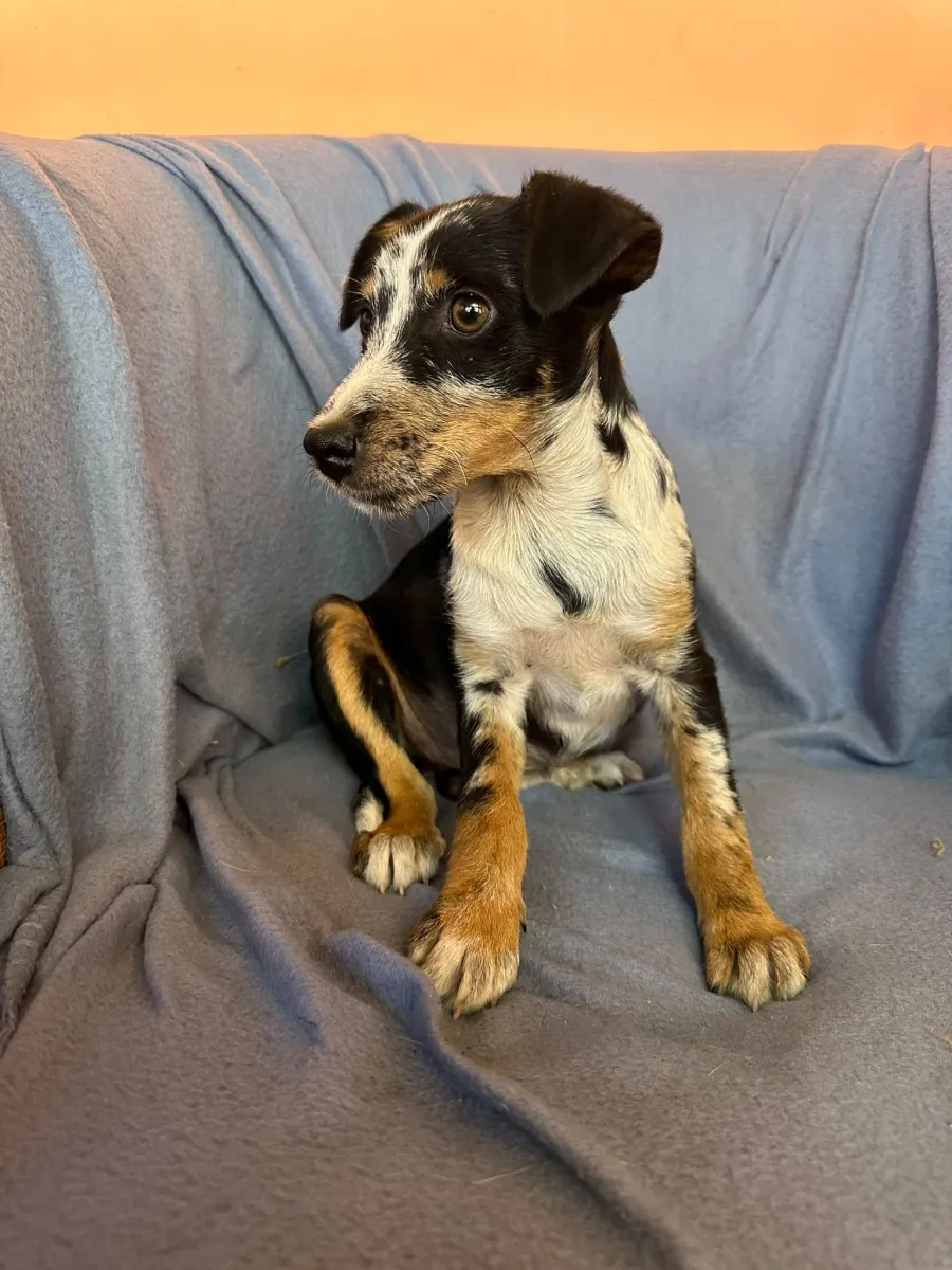 Ronja Foto 5