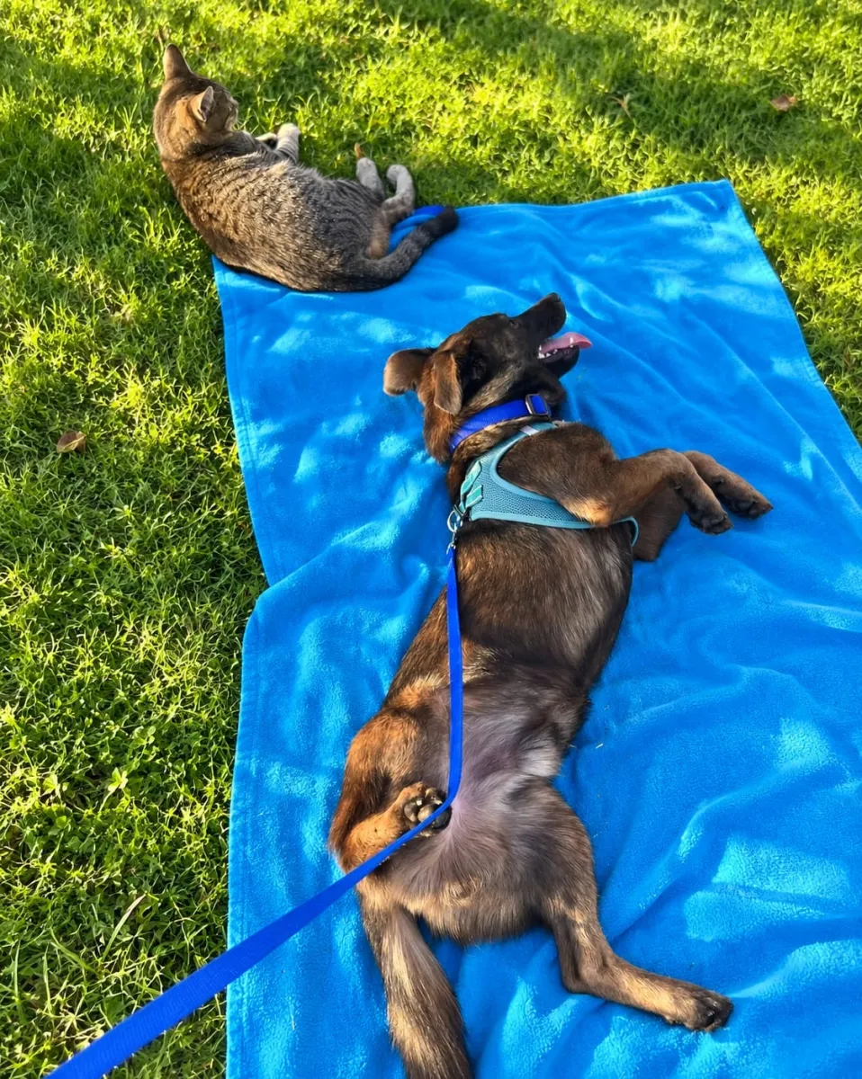 Coco Foto 6