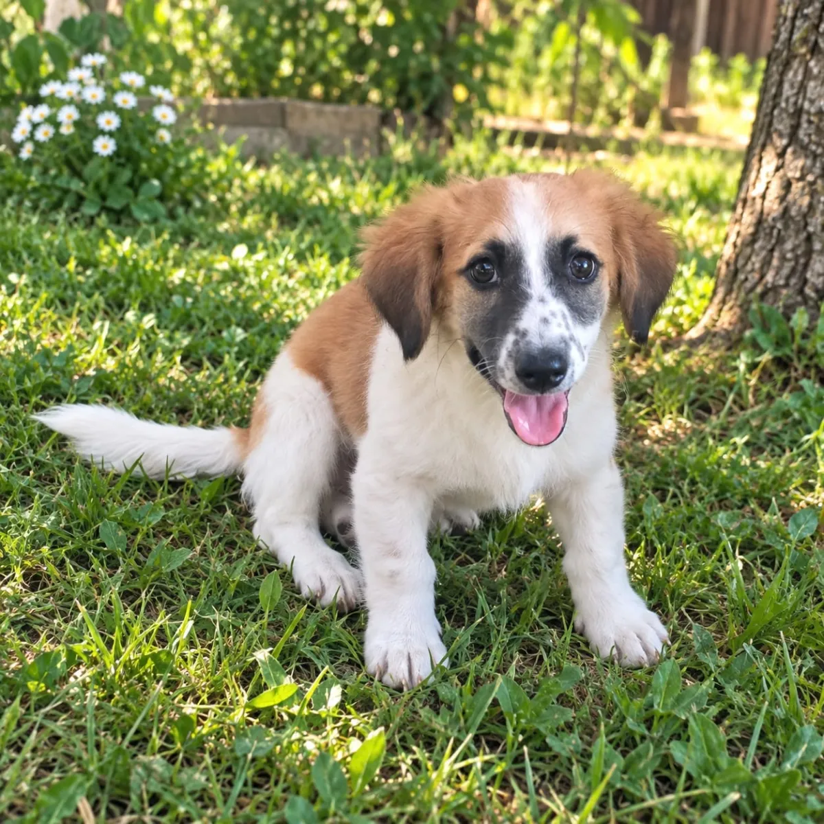 Aiko  Foto 2