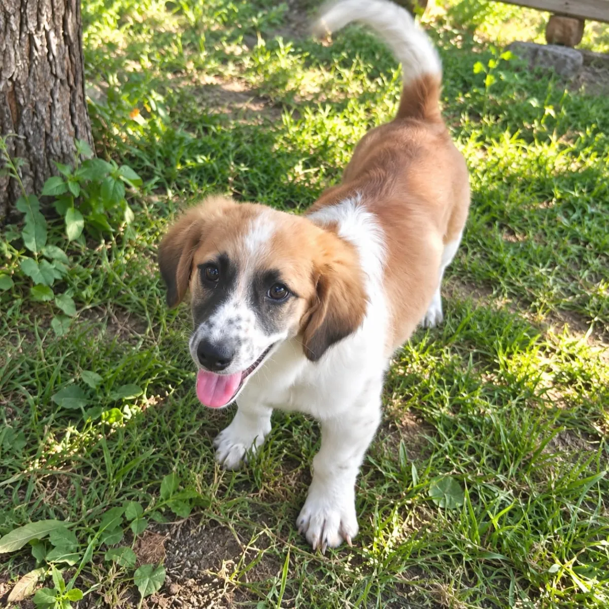 Aiko  Foto 4