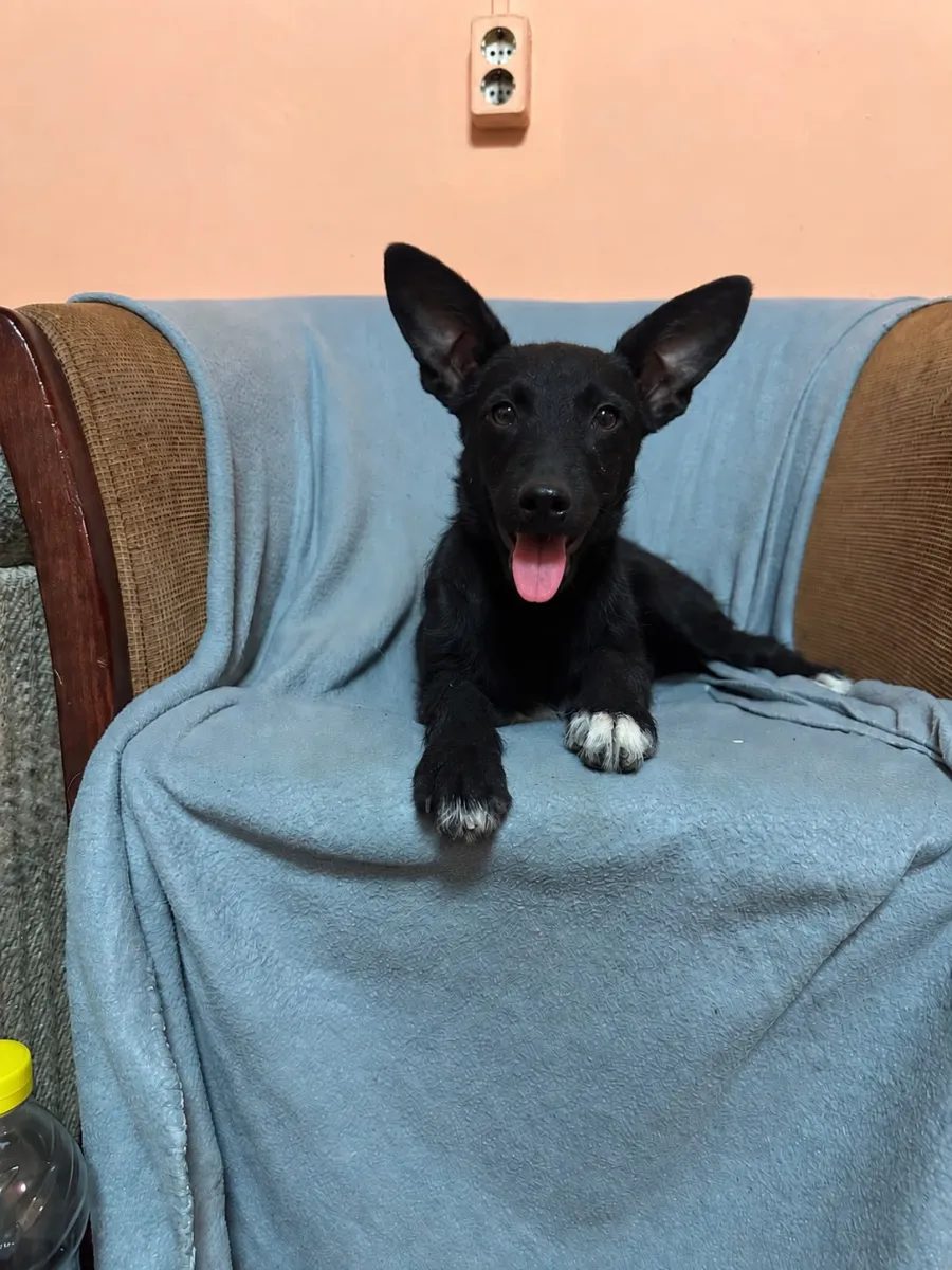 Kali  Foto 4
