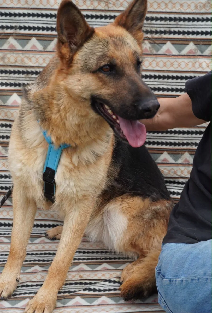 Tia Foto 3