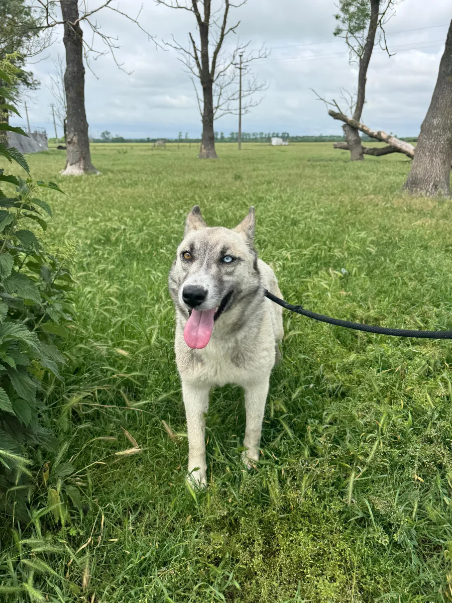 Skadi Foto 2