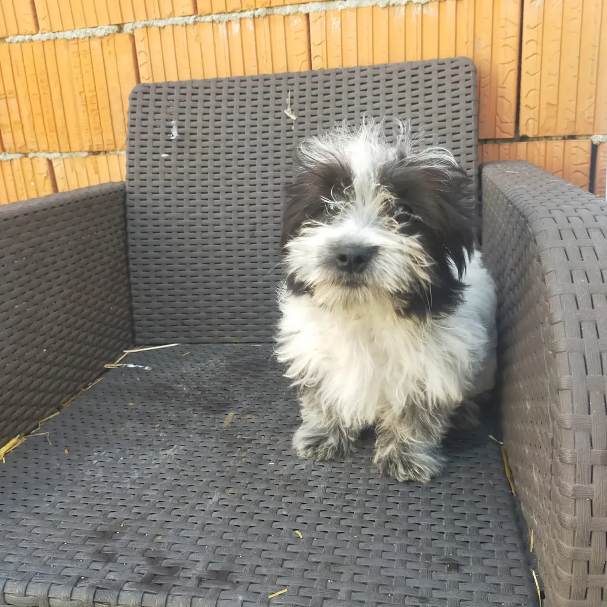 Max Foto 1