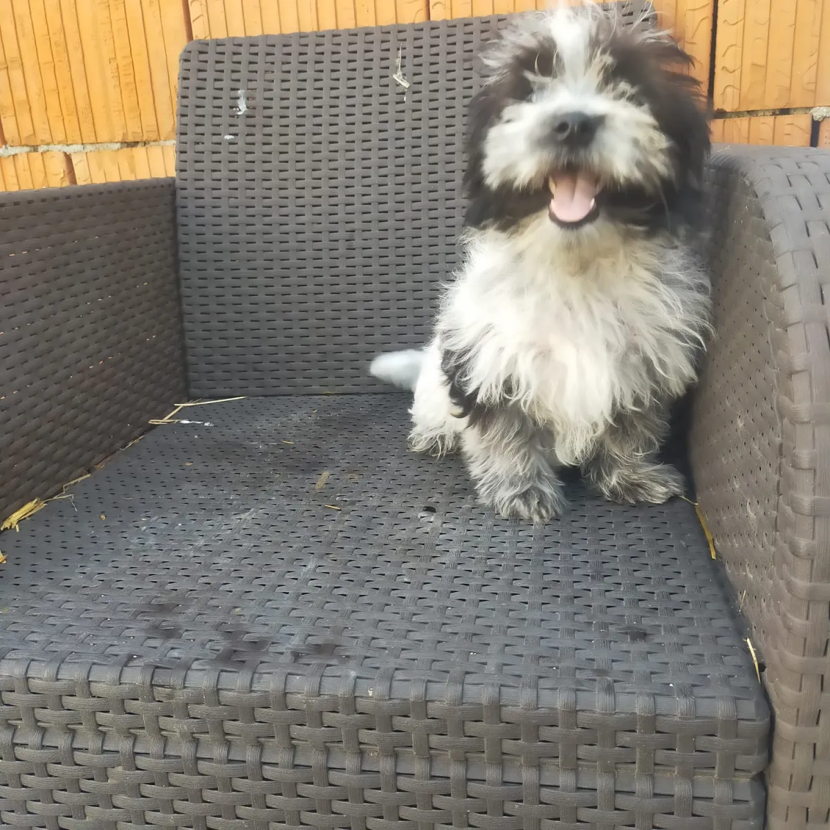 Max Foto 2