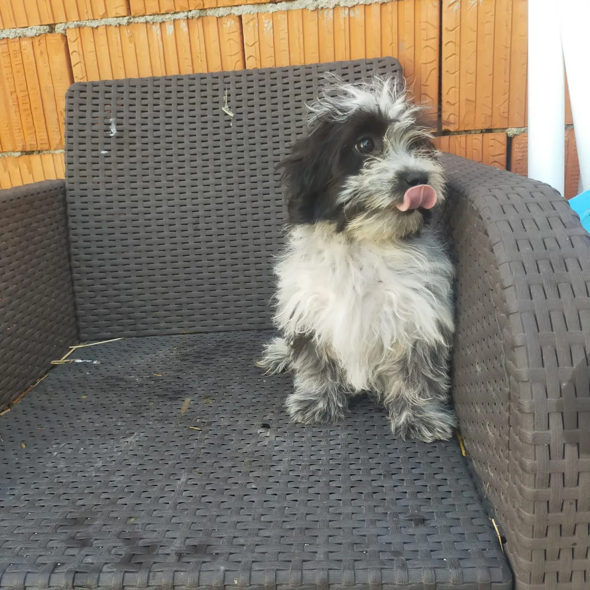 Max Foto 3