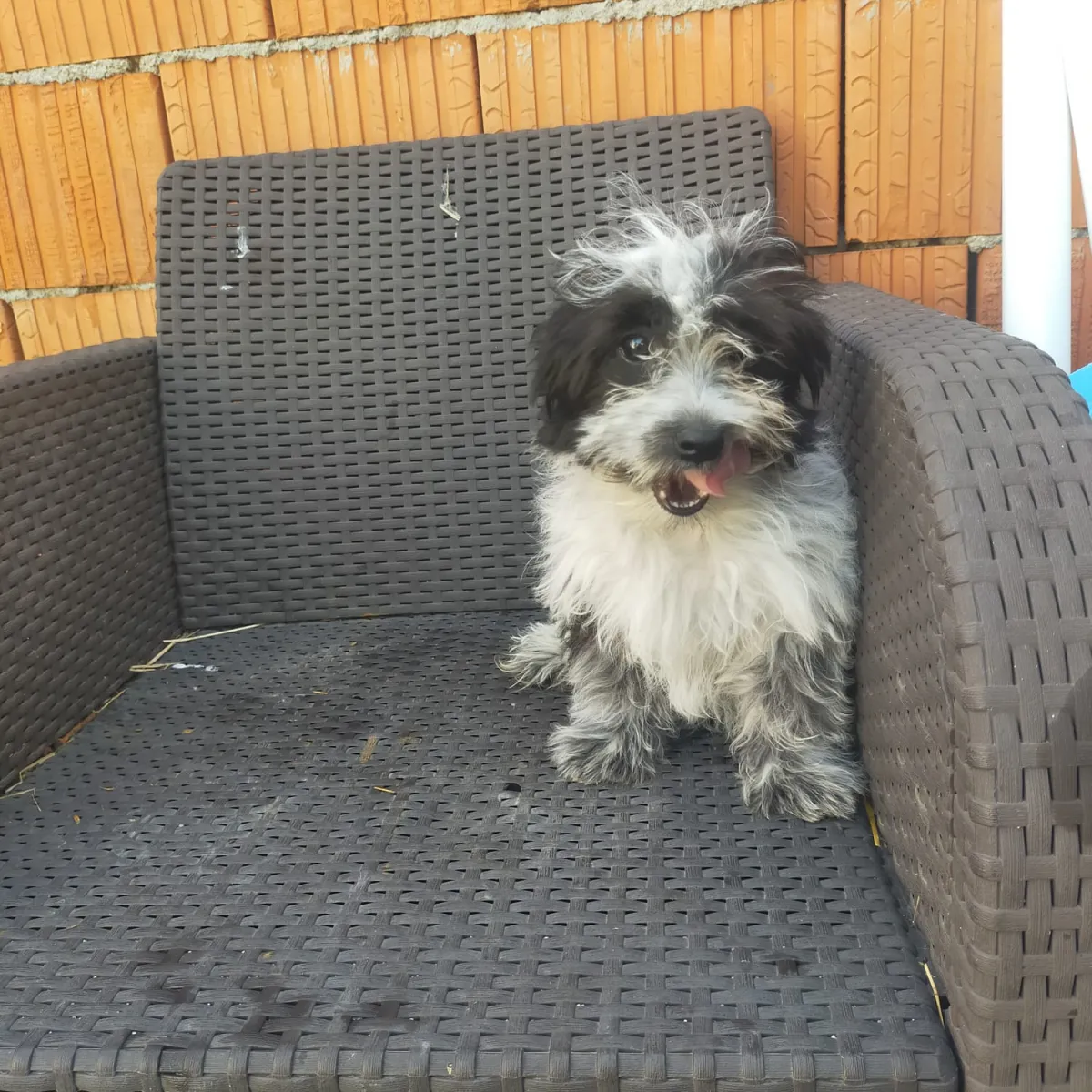 Max Foto 4