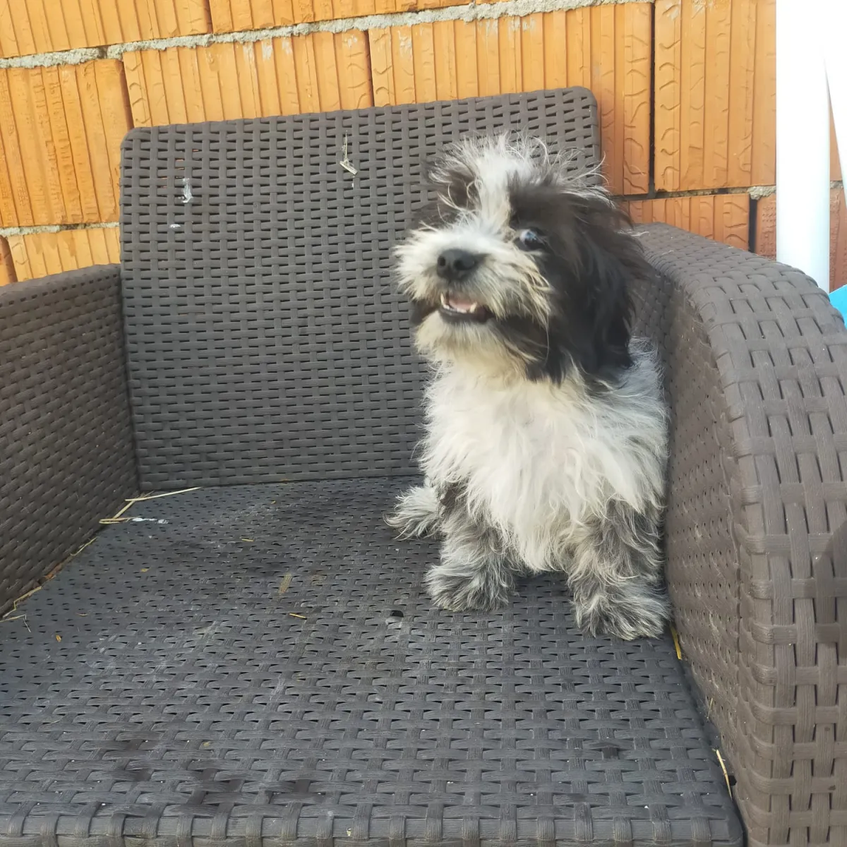 Max Foto 5