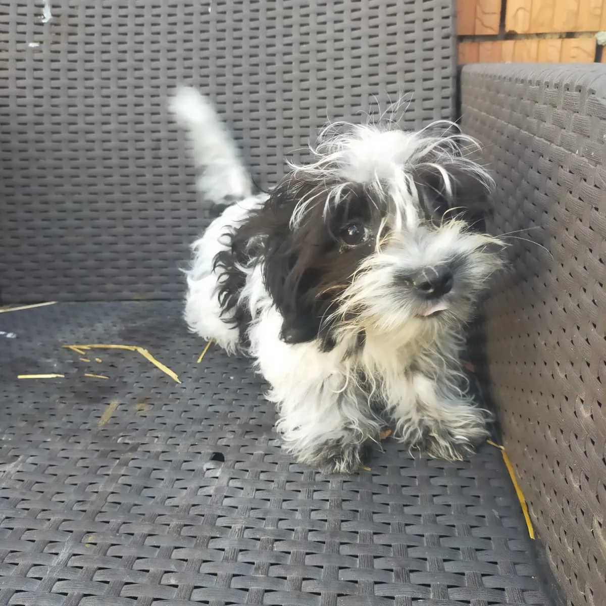 Beverly Foto 6