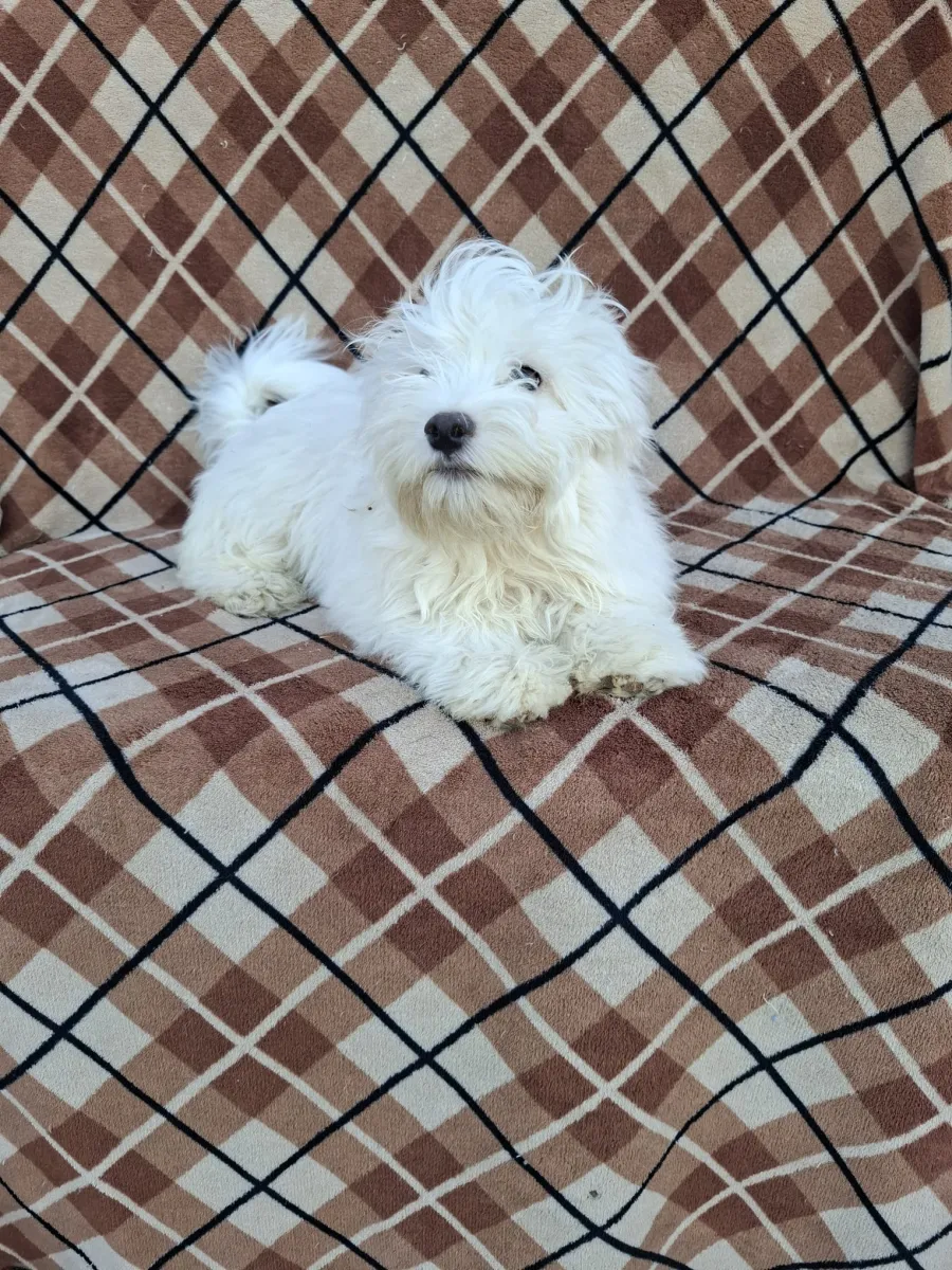 Miro Foto 3