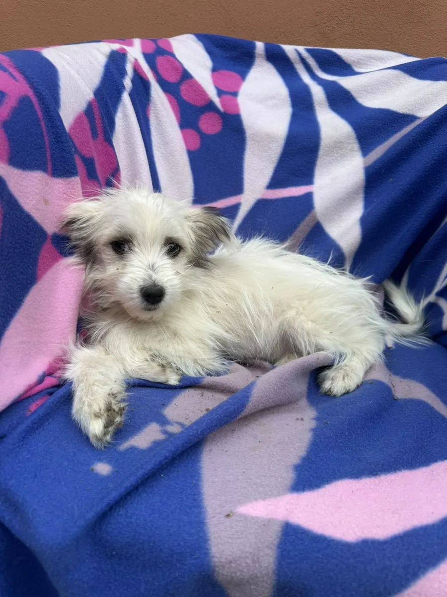Milly Foto 4