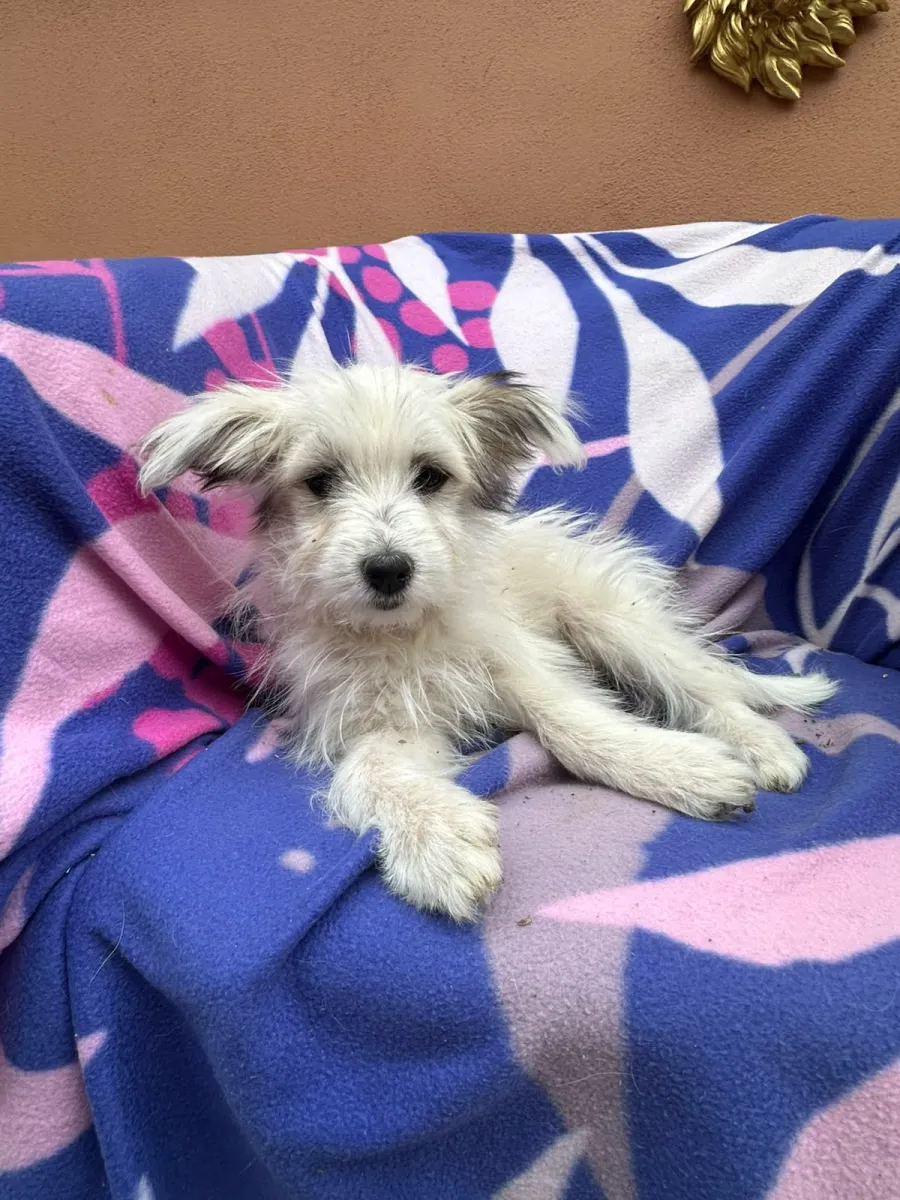 Milly Foto 5