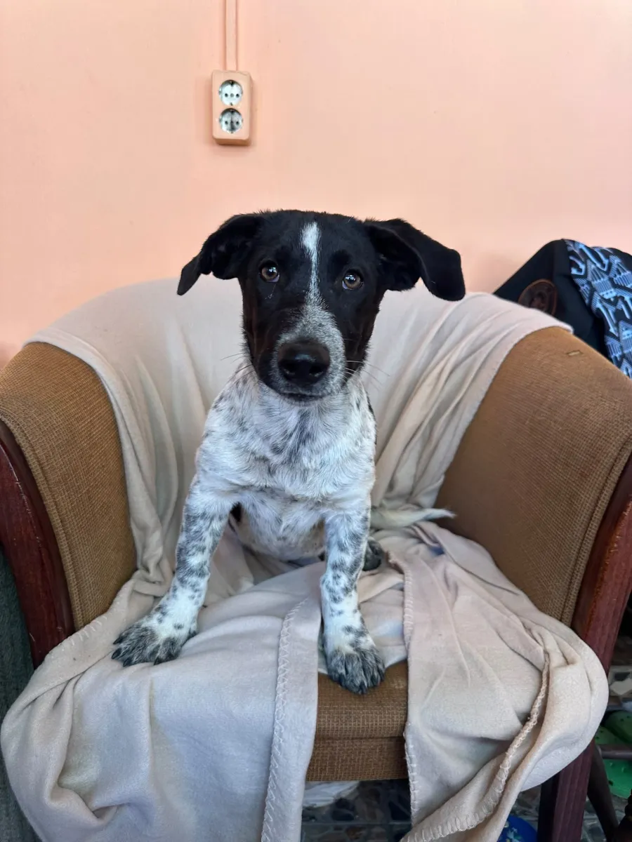 Tilda Foto 2