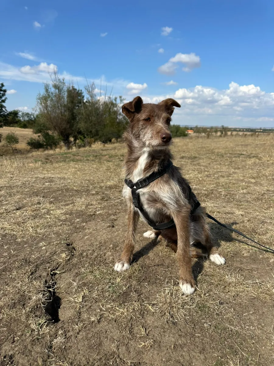 Vito Foto 10