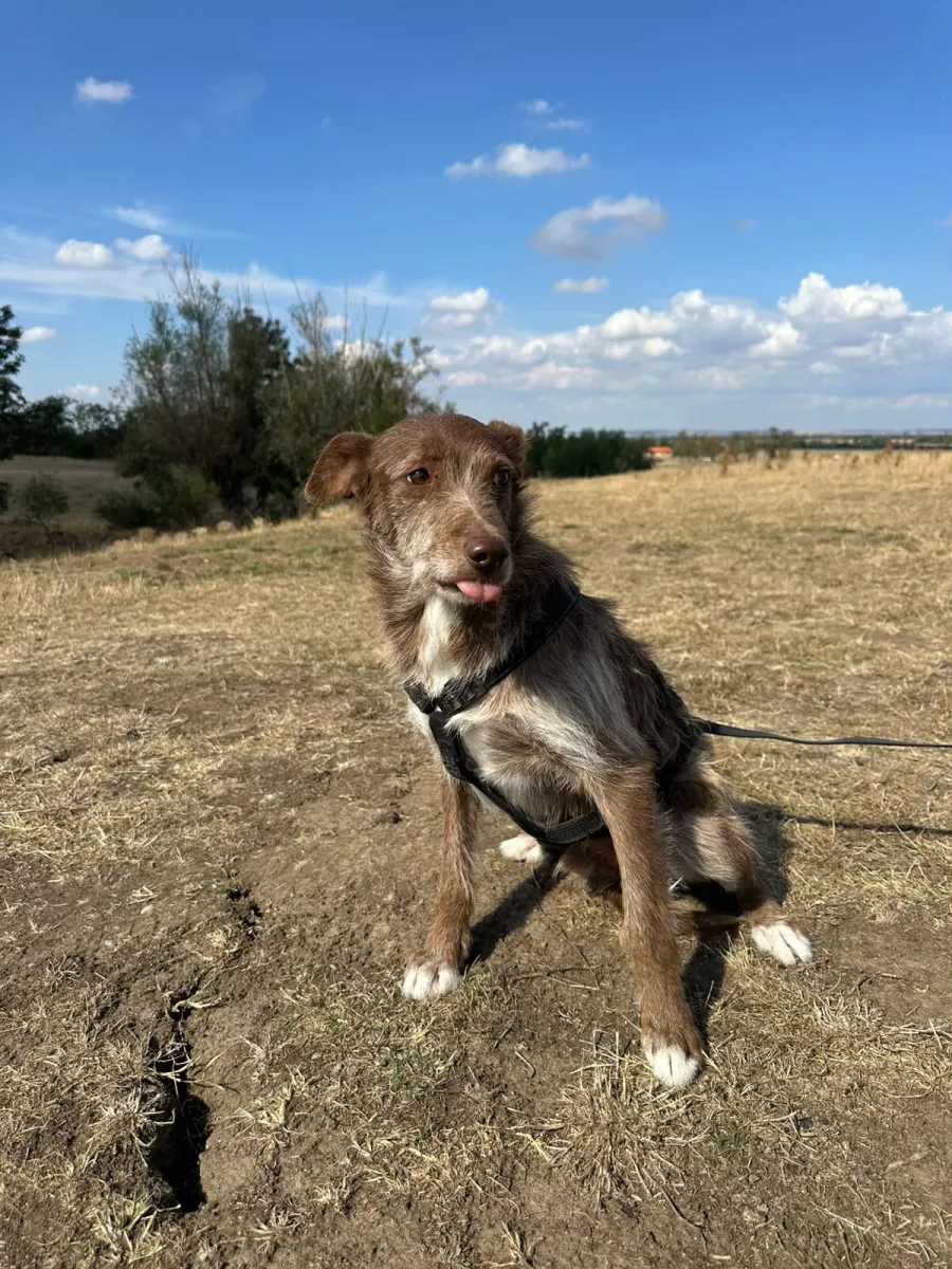 Vito Foto 11