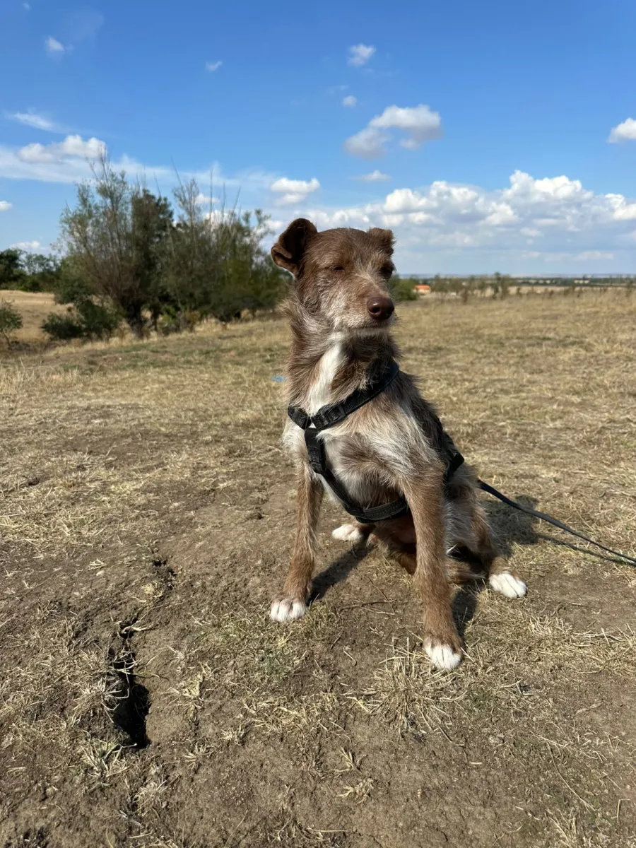 Vito Foto 12
