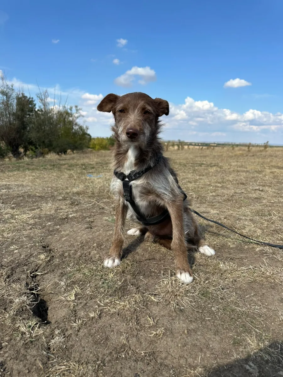Vito Foto 7