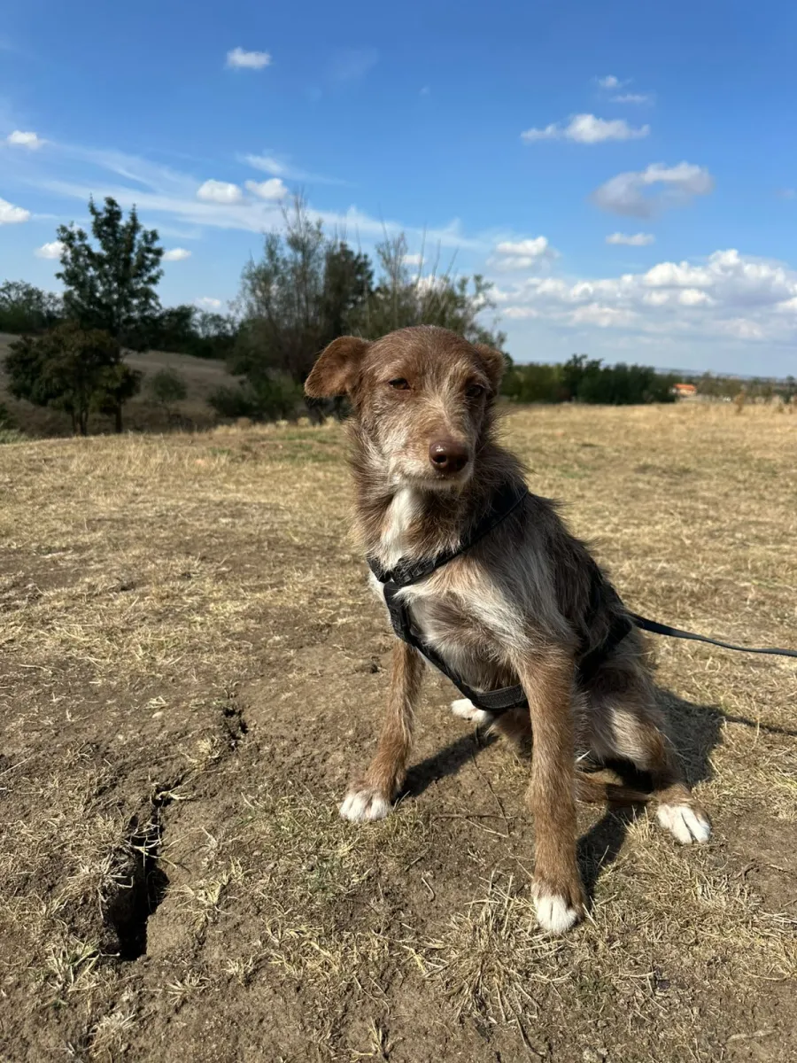 Vito Foto 9