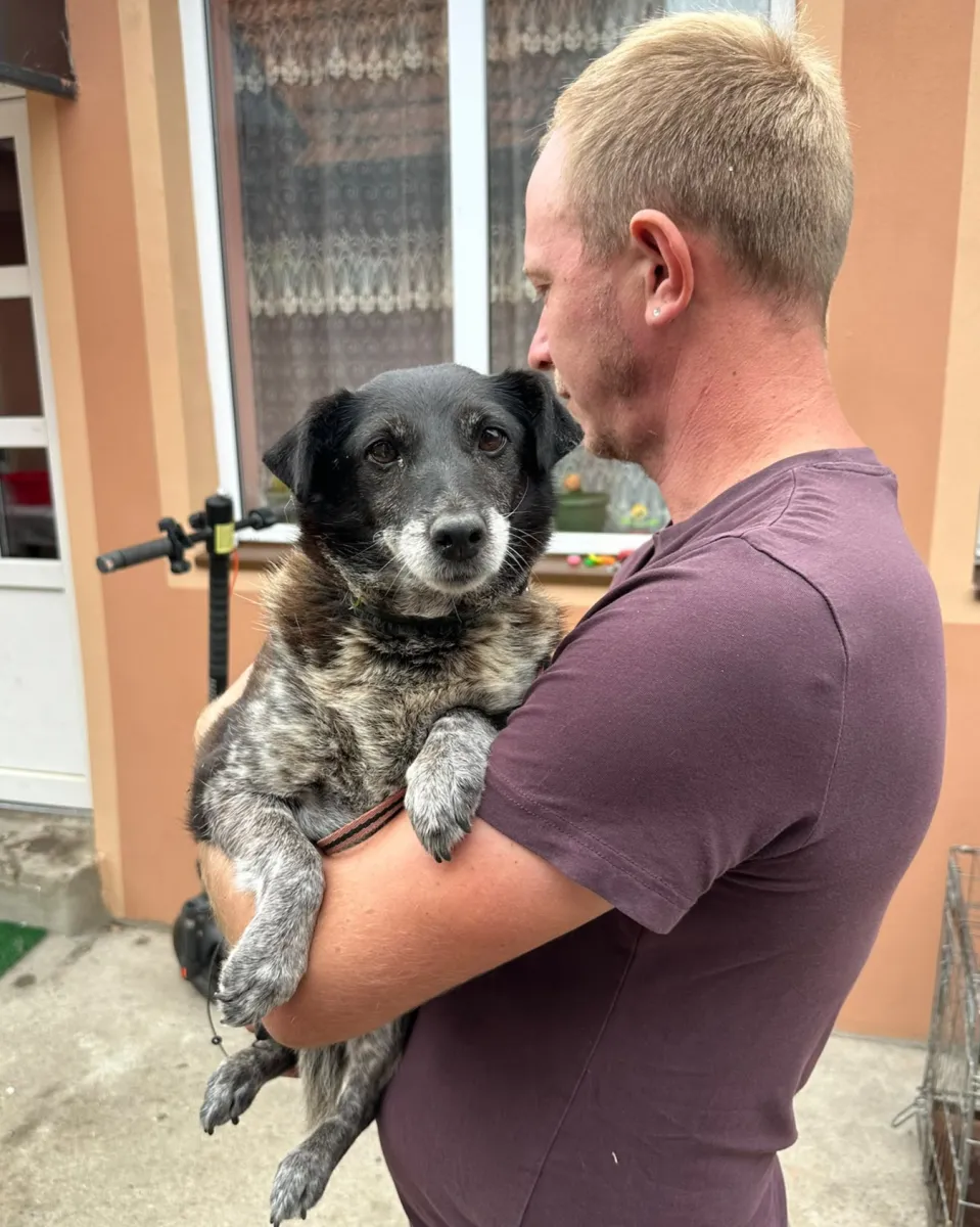 Lusi Foto 1