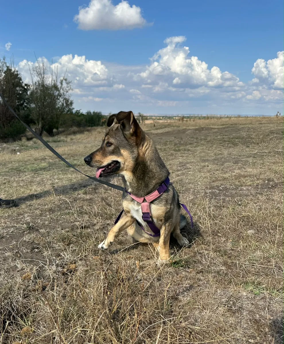 Bella Foto 1