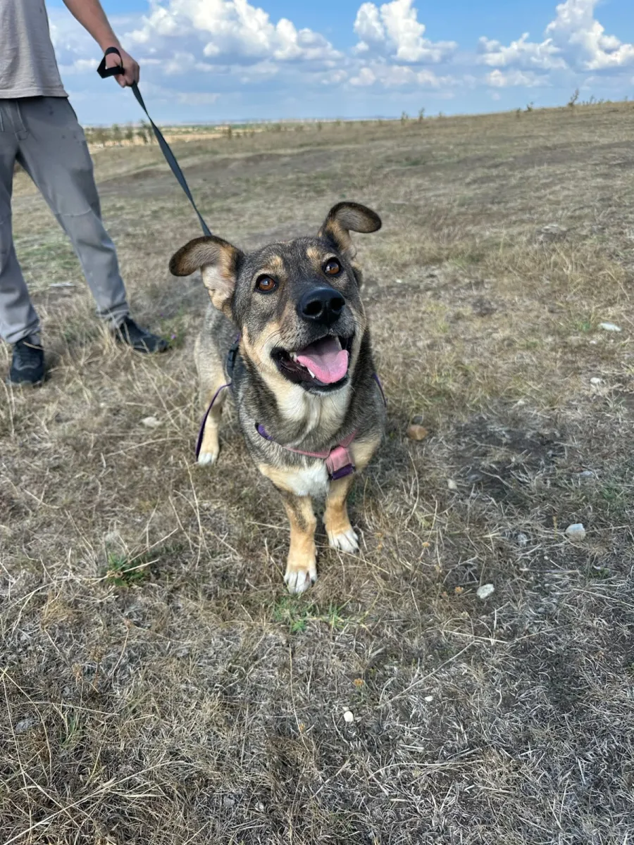 Bella Foto 10
