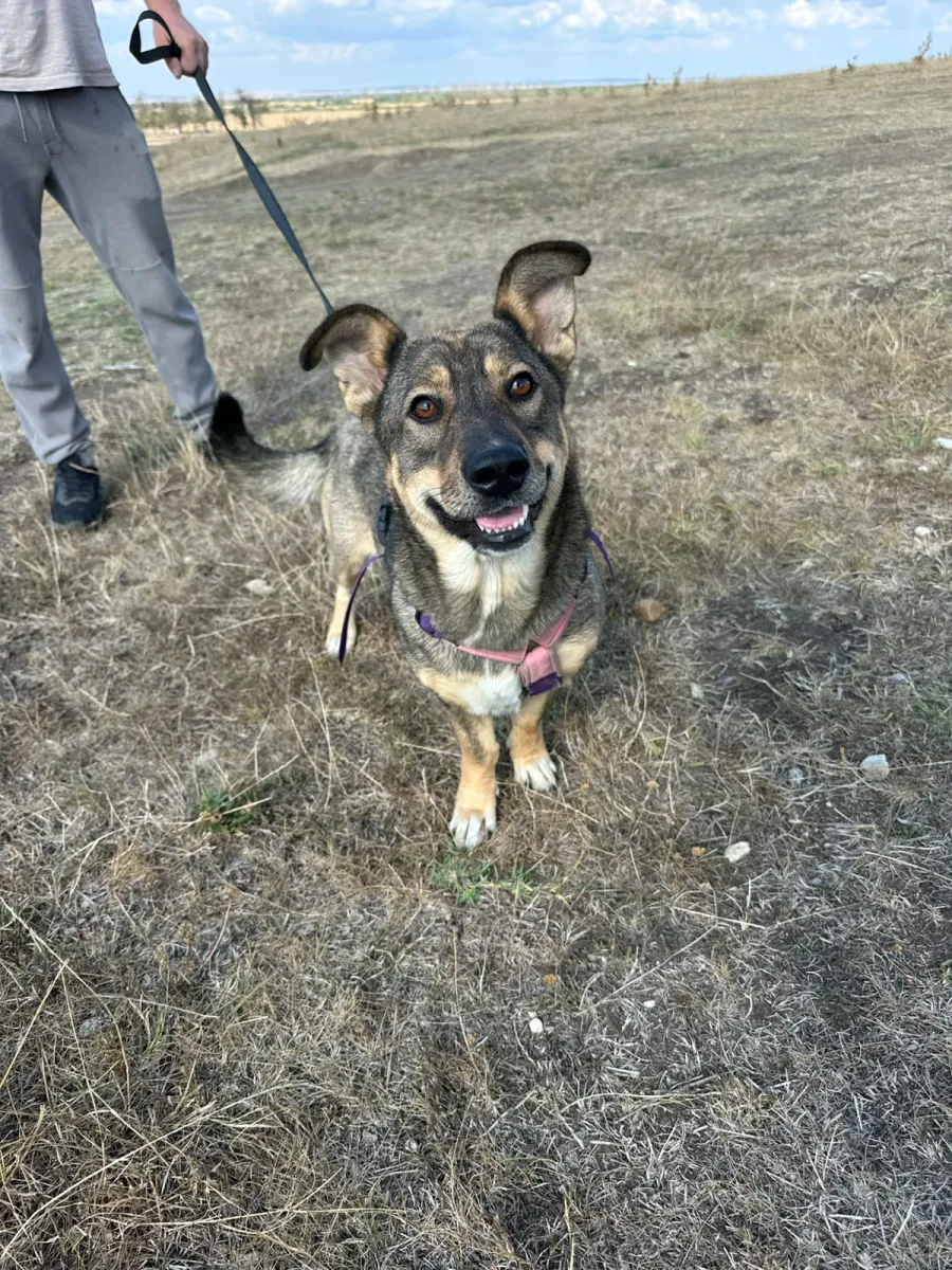 Bella Foto 11