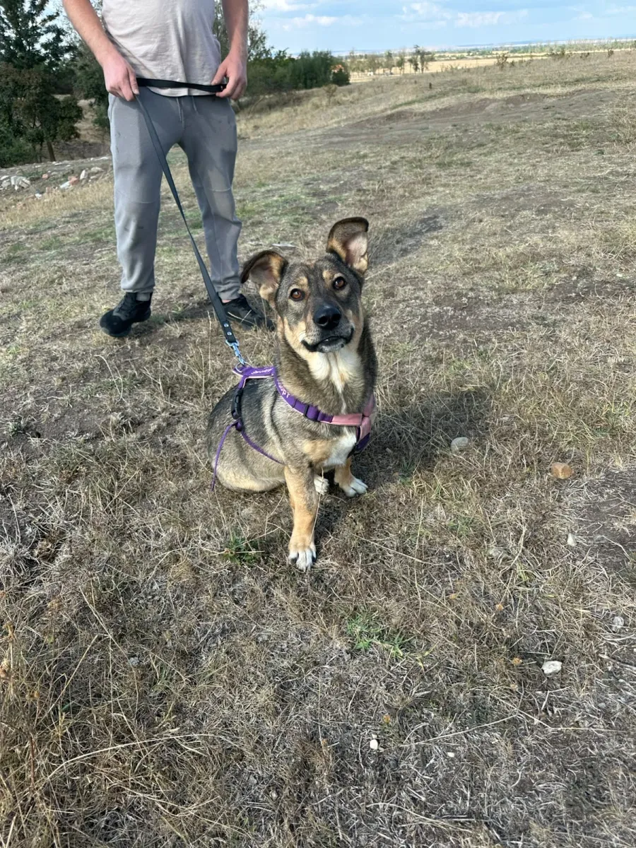 Bella Foto 12