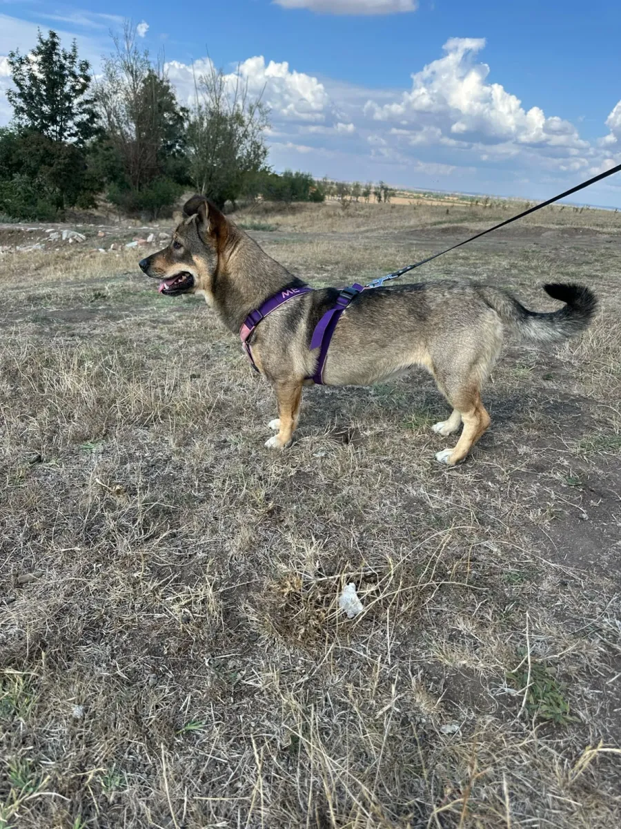 Bella Foto 13