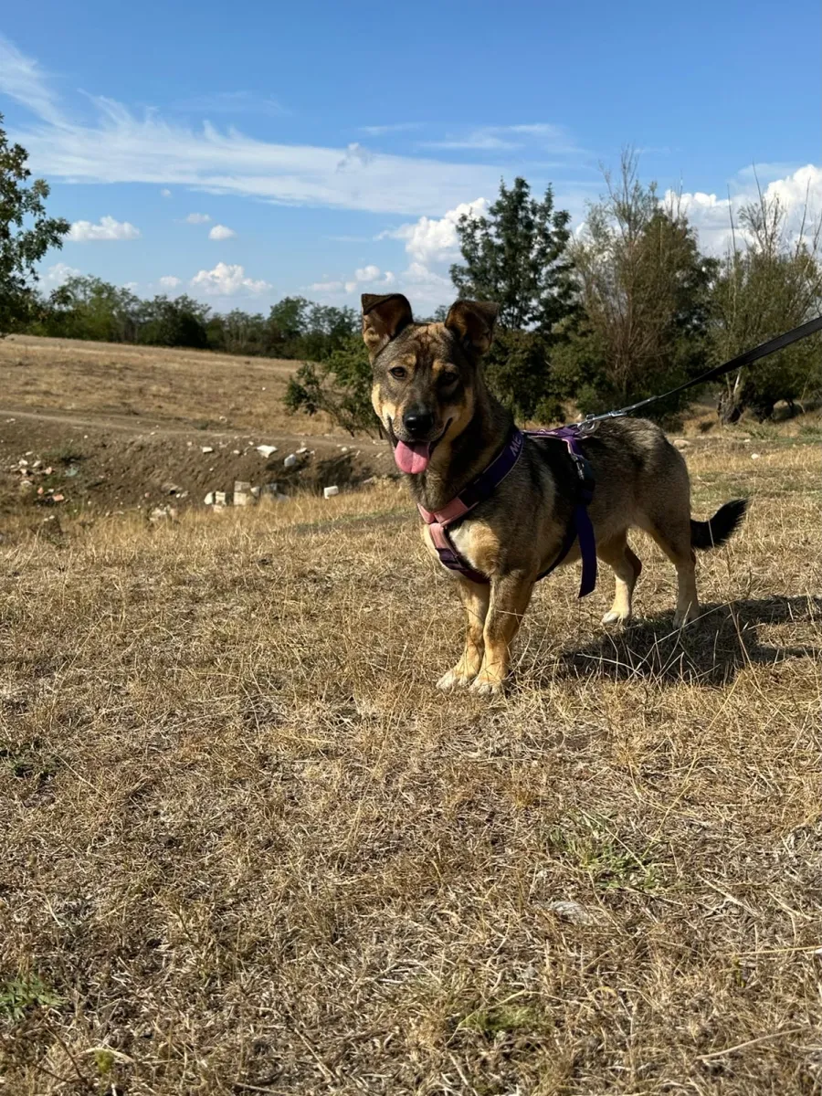 Bella Foto 2