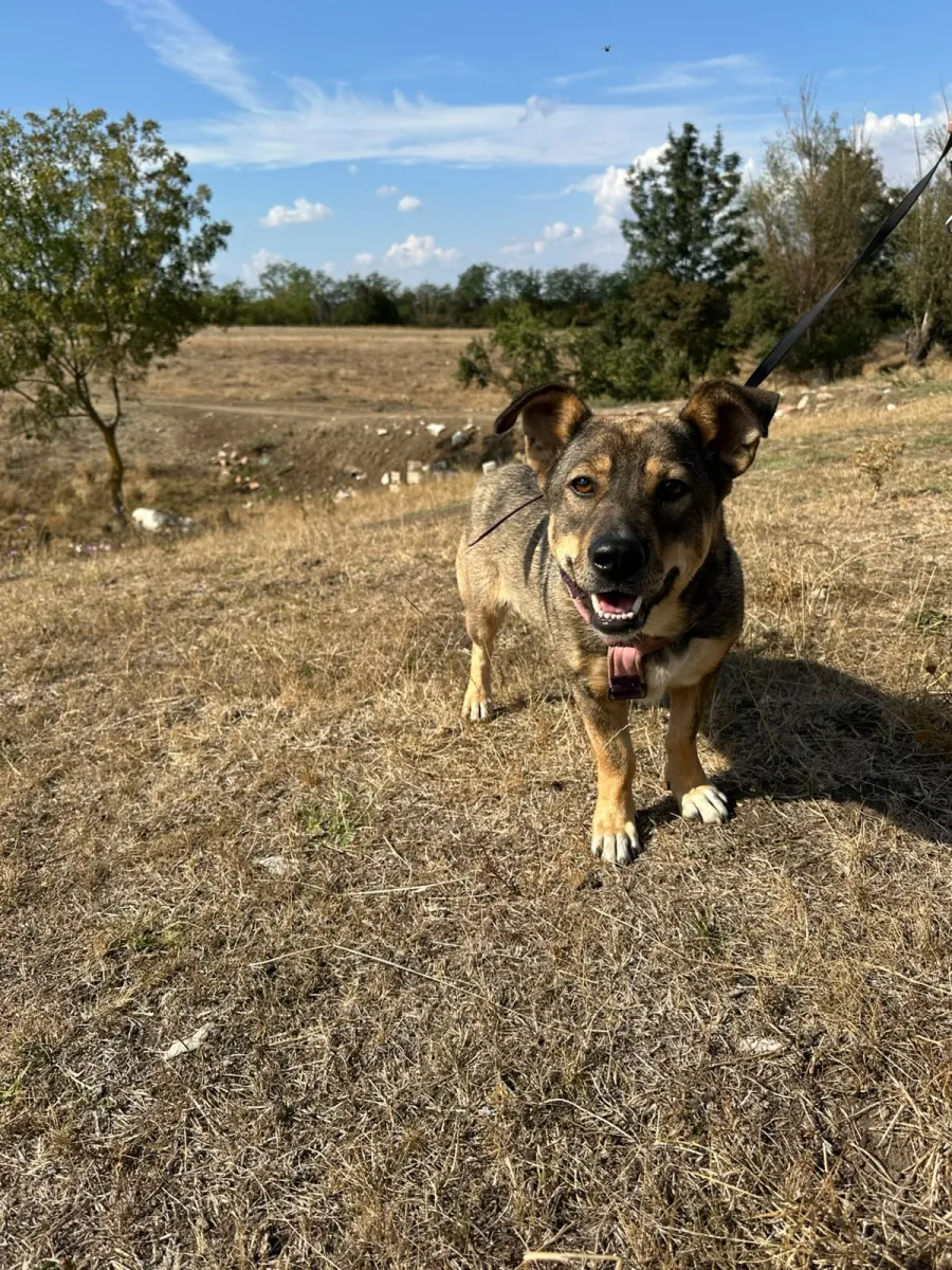 Bella Foto 3