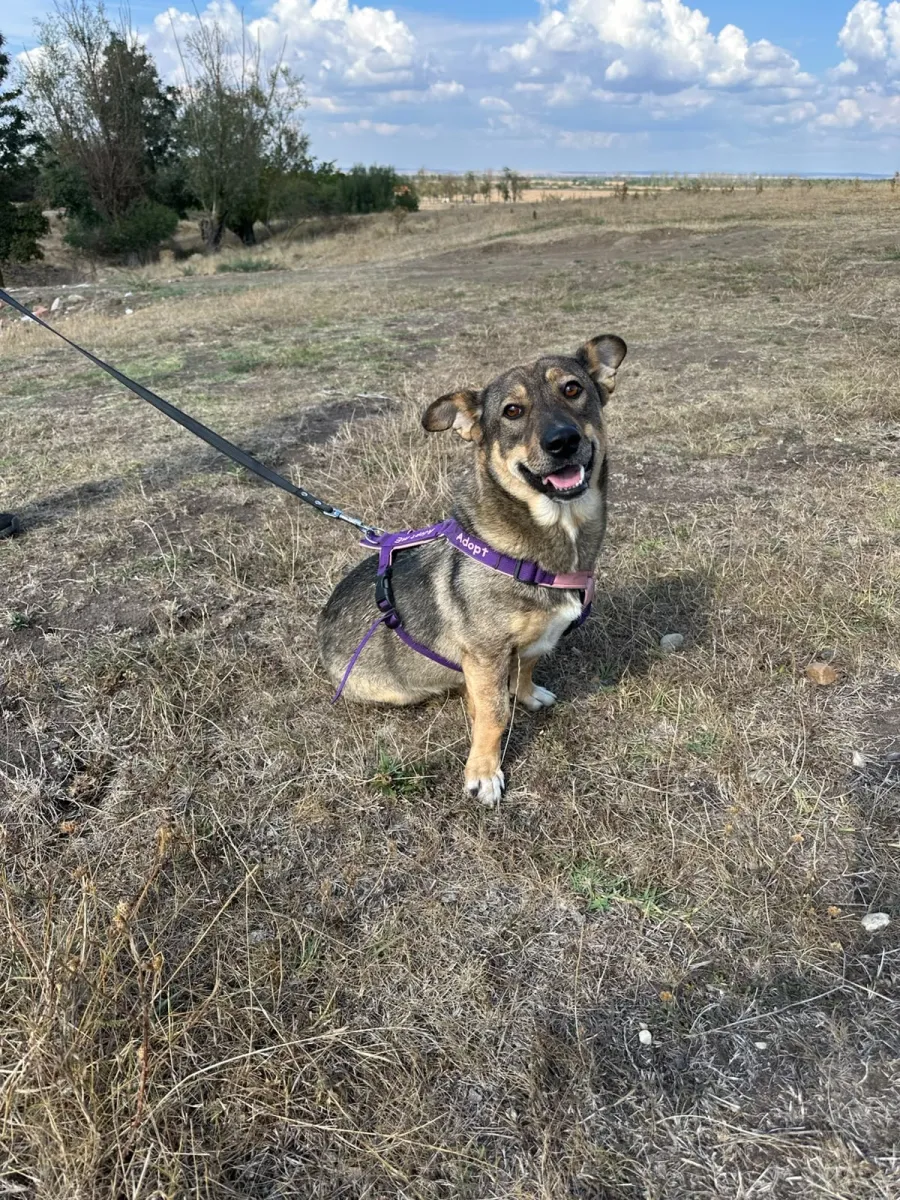 Bella Foto 4