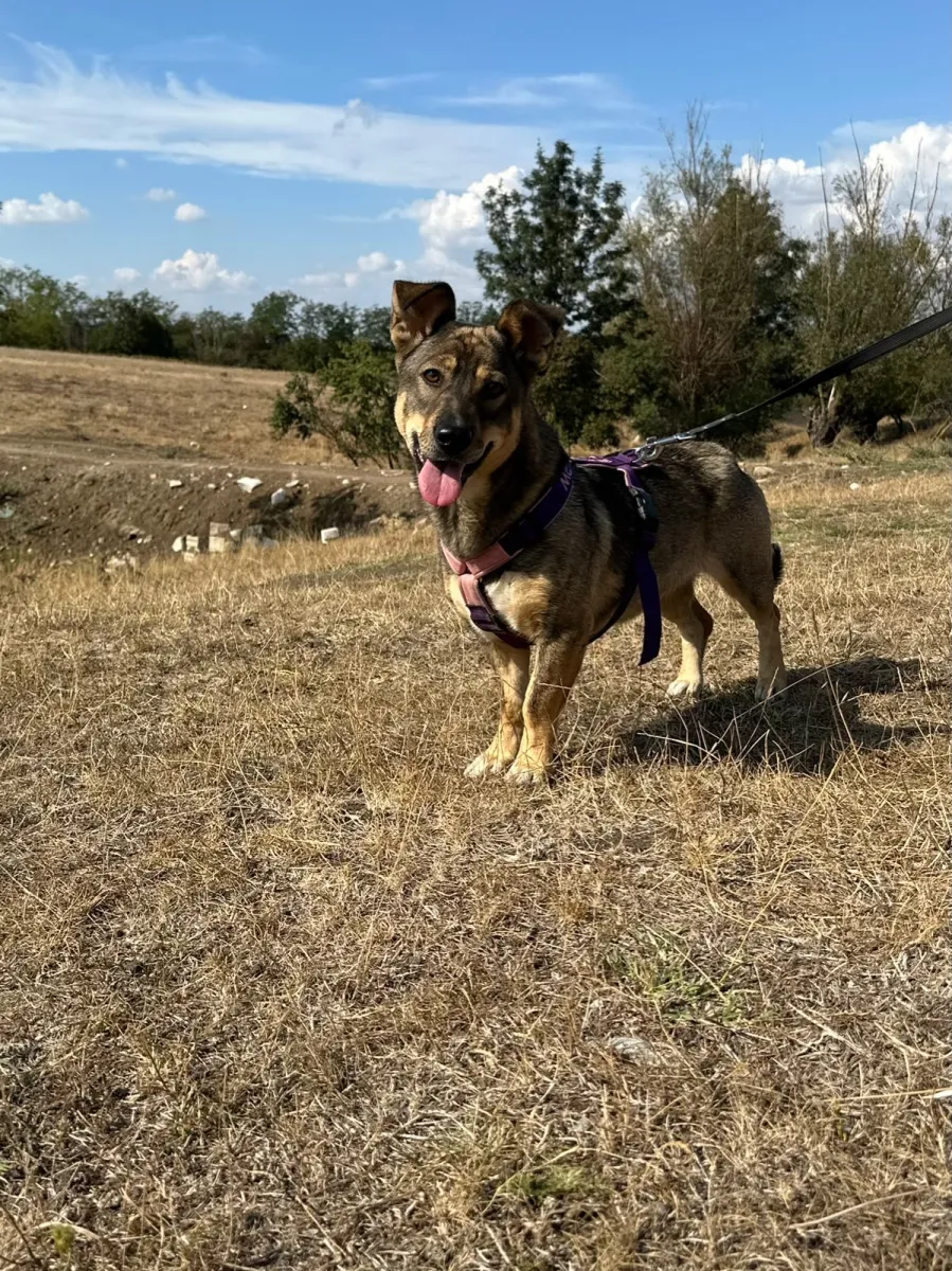 Bella Foto 5