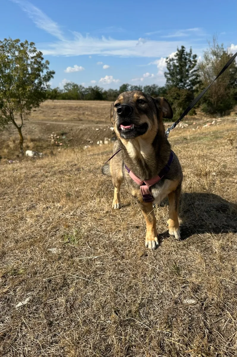 Bella Foto 6