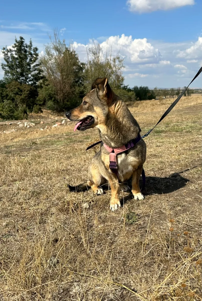 Bella Foto 7