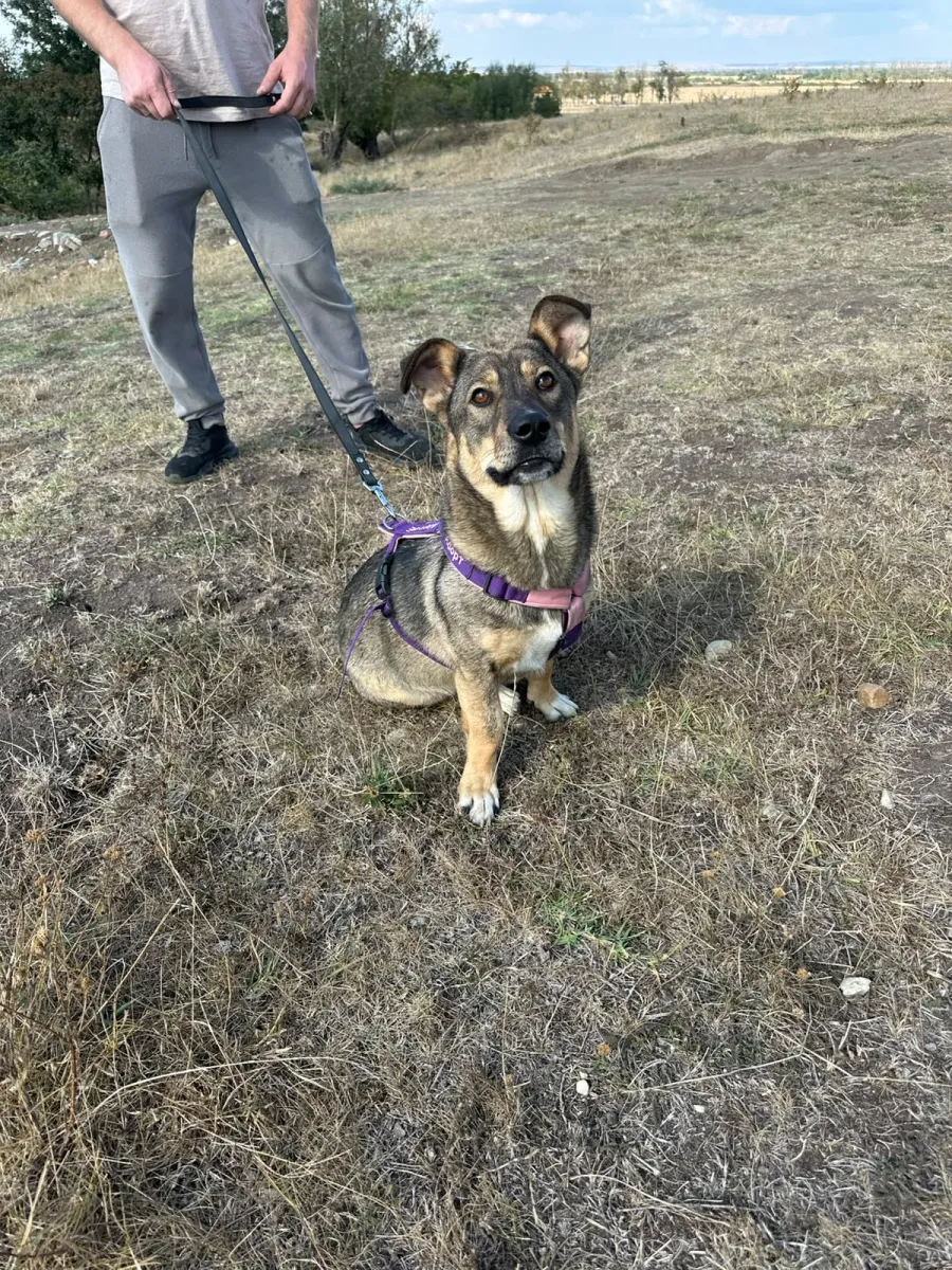 Bella Foto 9