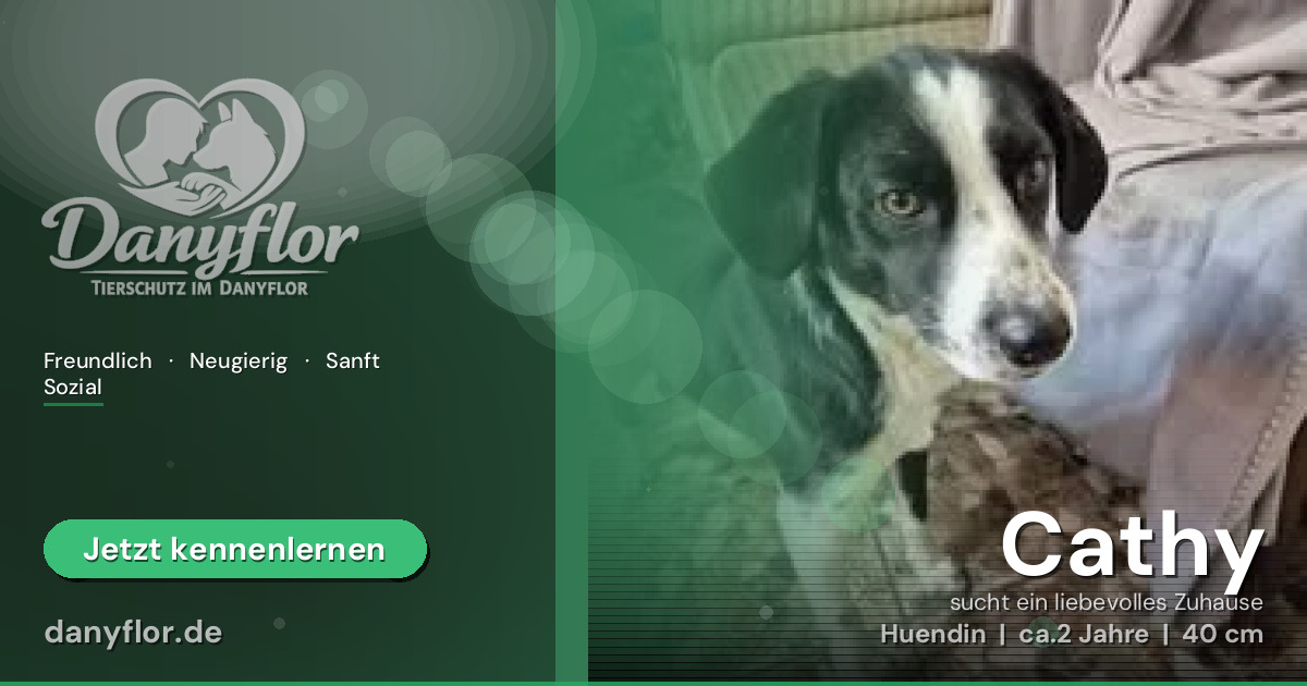 Facebook-Bild für Cathy