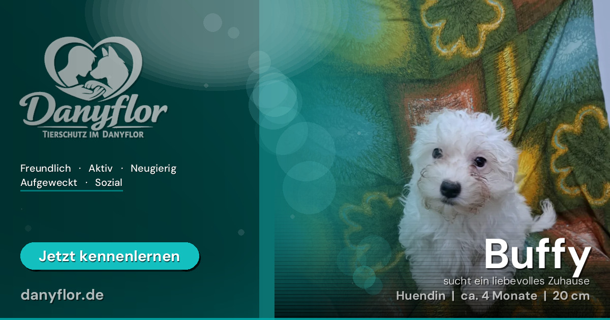 Facebook-Bild für Buffy