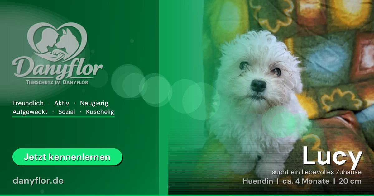 Facebook-Bild für Lucy