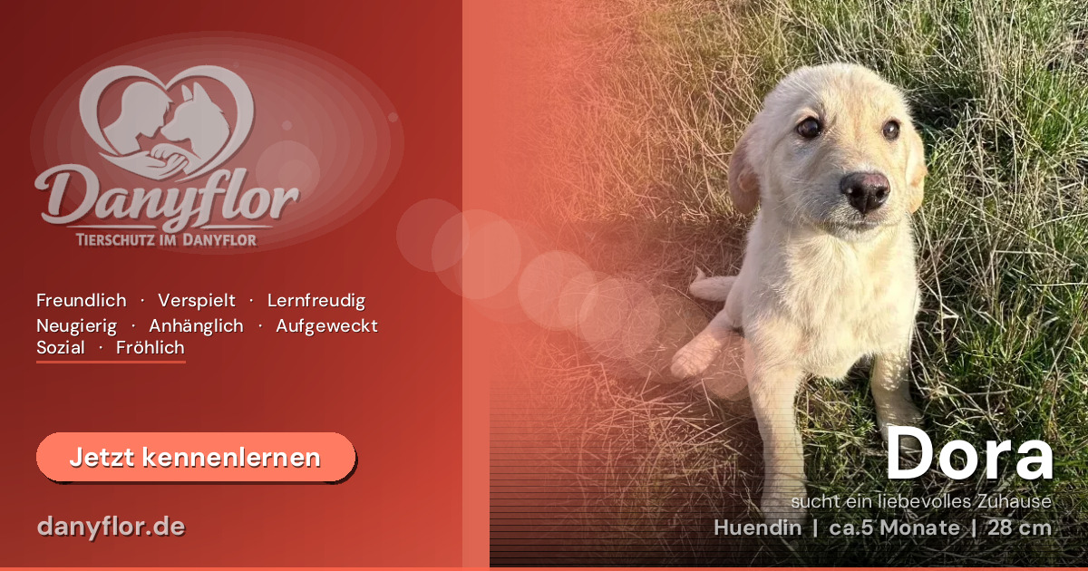 Facebook-Bild für Dora