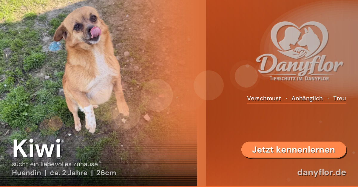 Facebook-Bild für Kiwi