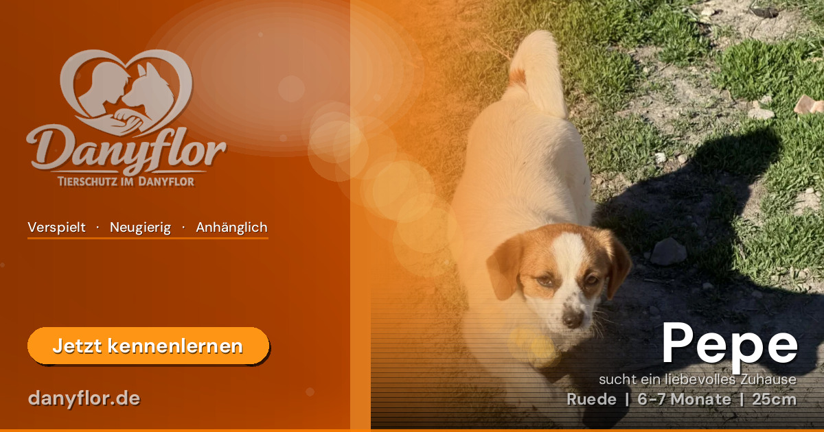 Facebook-Bild für Pepe