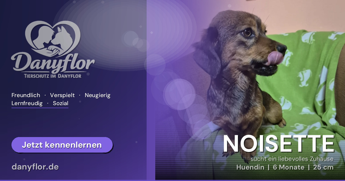 Facebook-Bild für NOISETTE