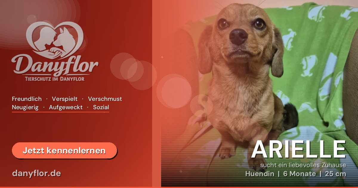 Facebook-Bild für ARIELLE