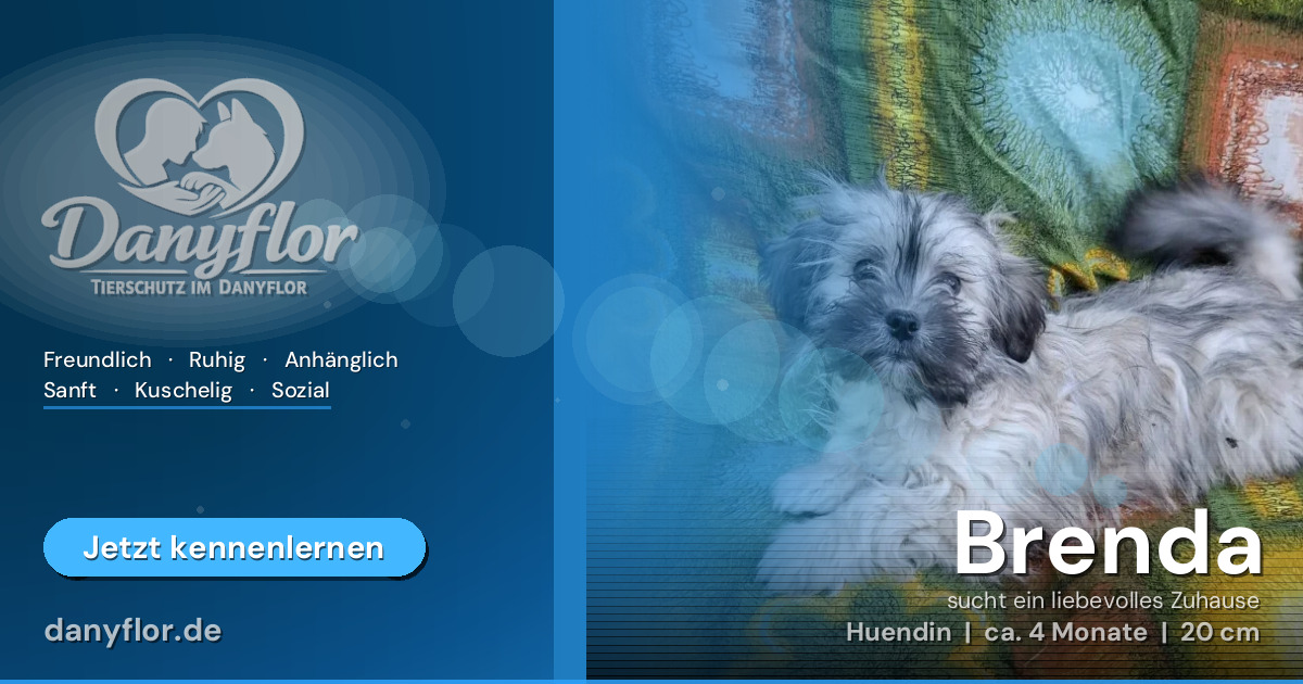 Facebook-Bild für Brenda