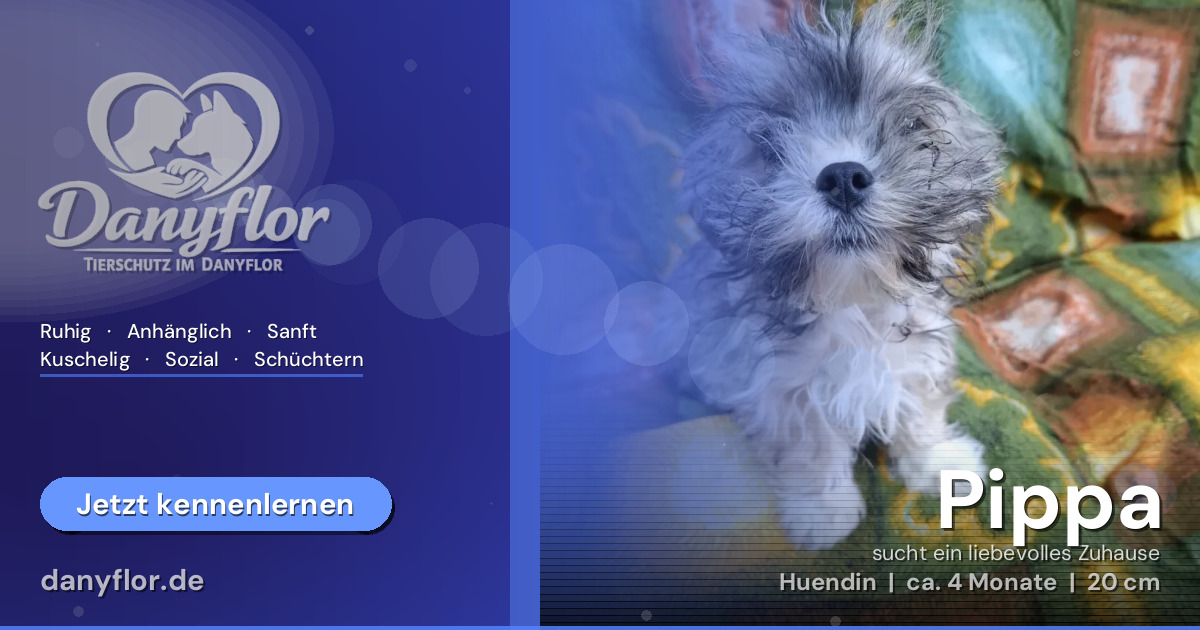 Facebook-Bild für Pippa