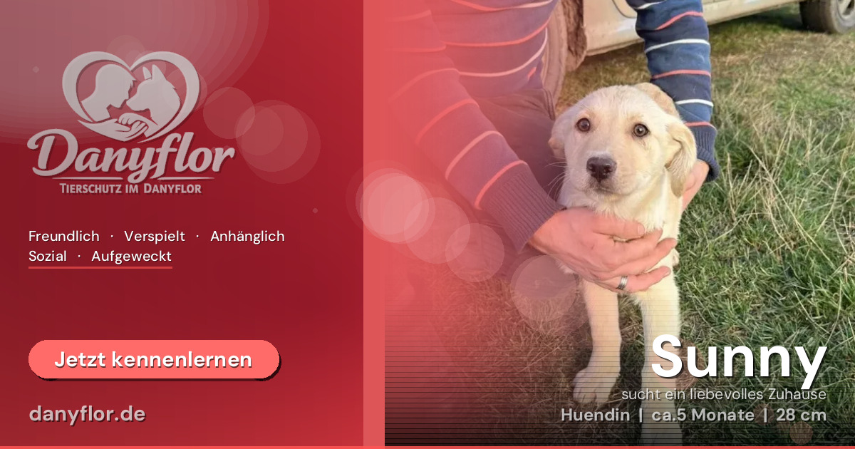 Facebook-Bild für Sunny