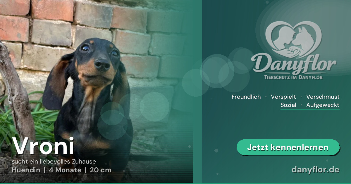 Facebook-Bild für Vroni