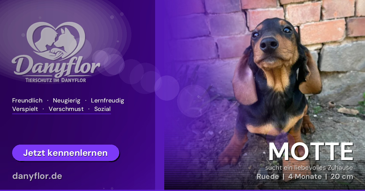 Facebook-Bild für MOTTE