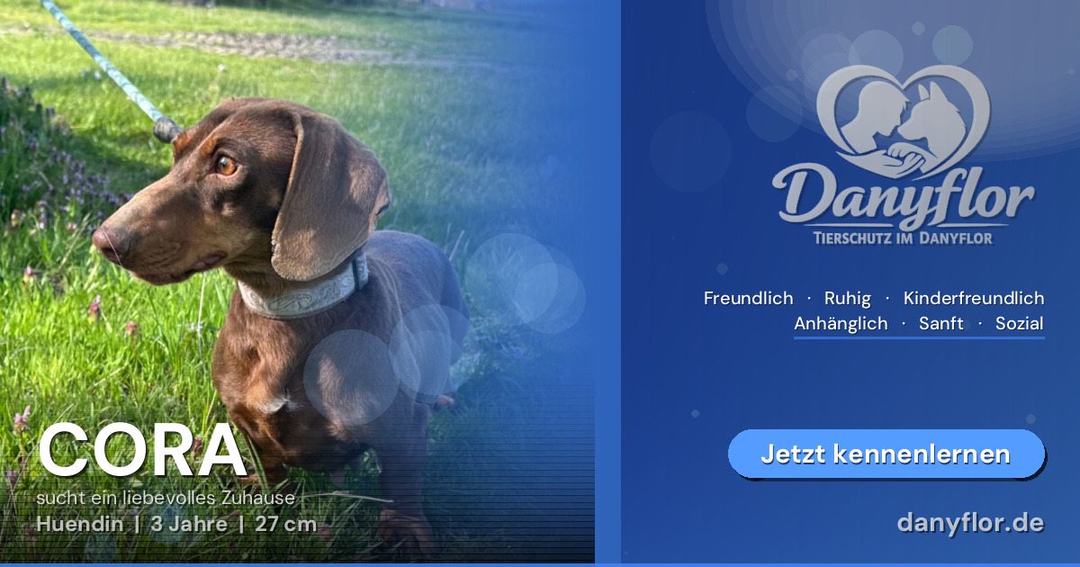 Facebook-Bild für CORA